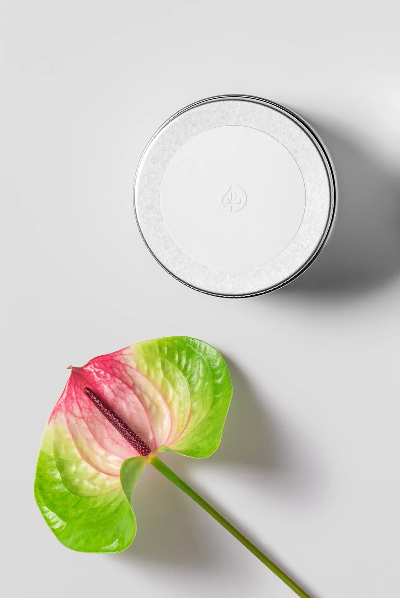 packaging top