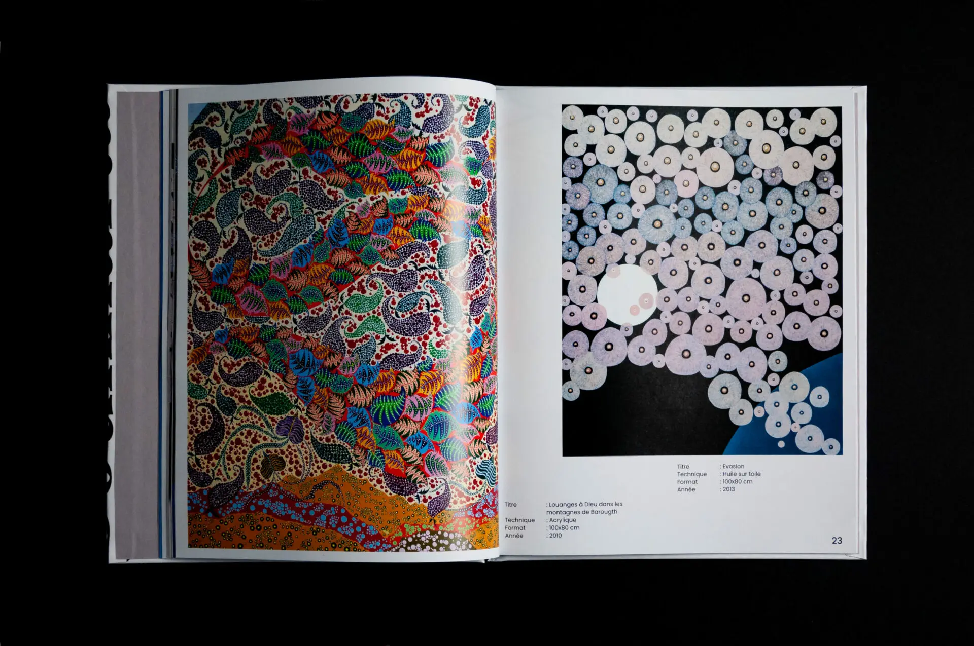 Double page du livre : peintures foisonnantes multicolores de Rachid Boukharta