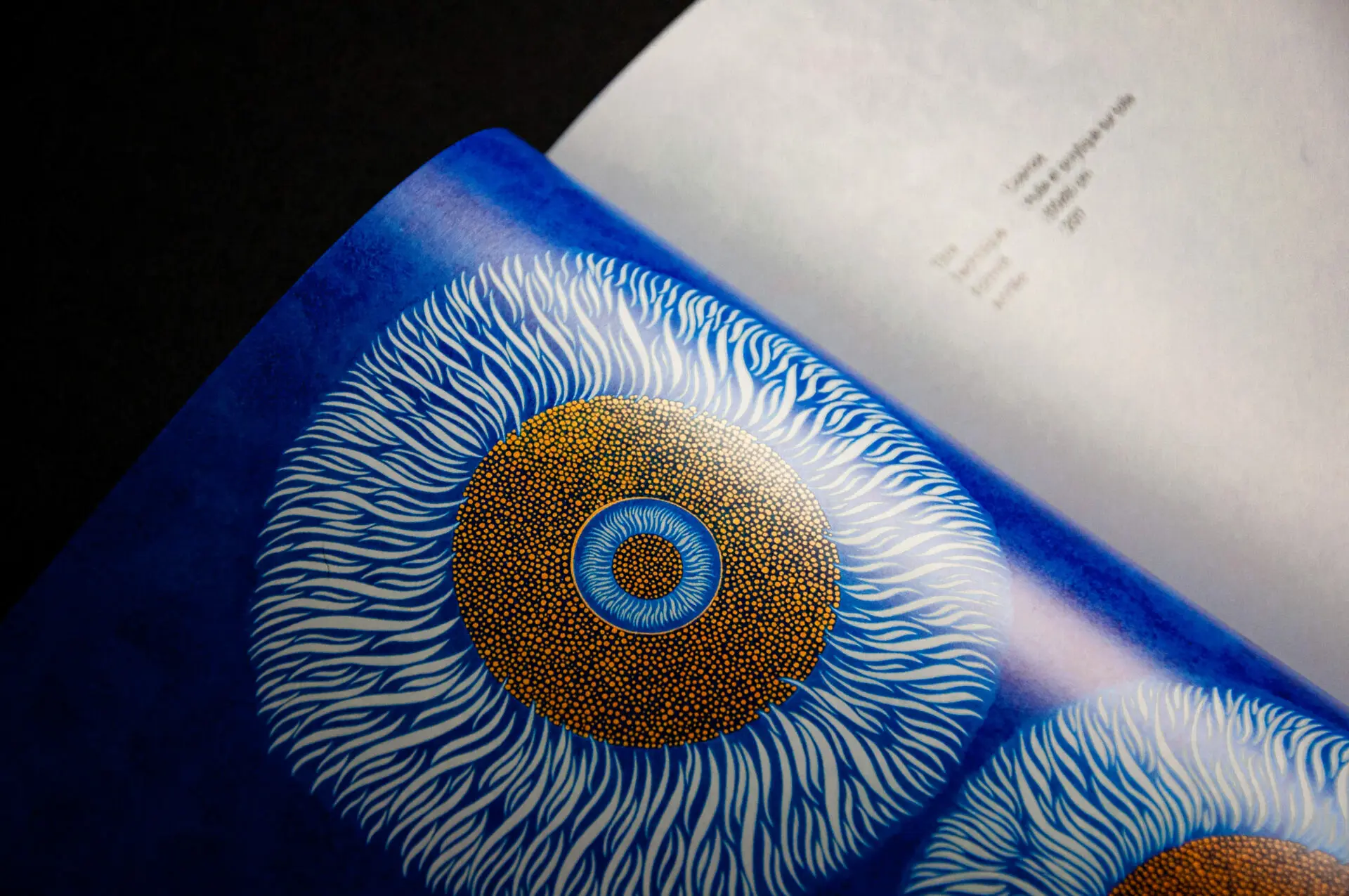 _DSC0019 Double page du catalogue : peinture bleue aux motifs circulaires dorés de Rachid Boukharta