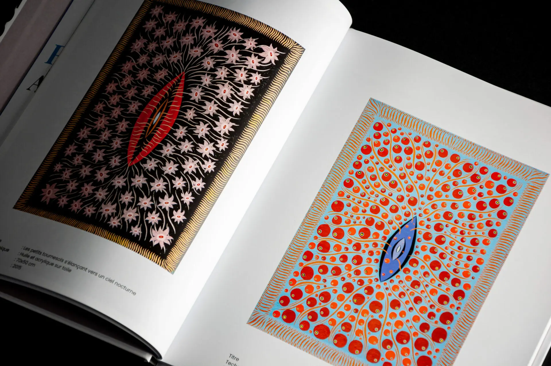 Deux toiles aux yeux stylisés de Rachid Boukharta reproduites en double page