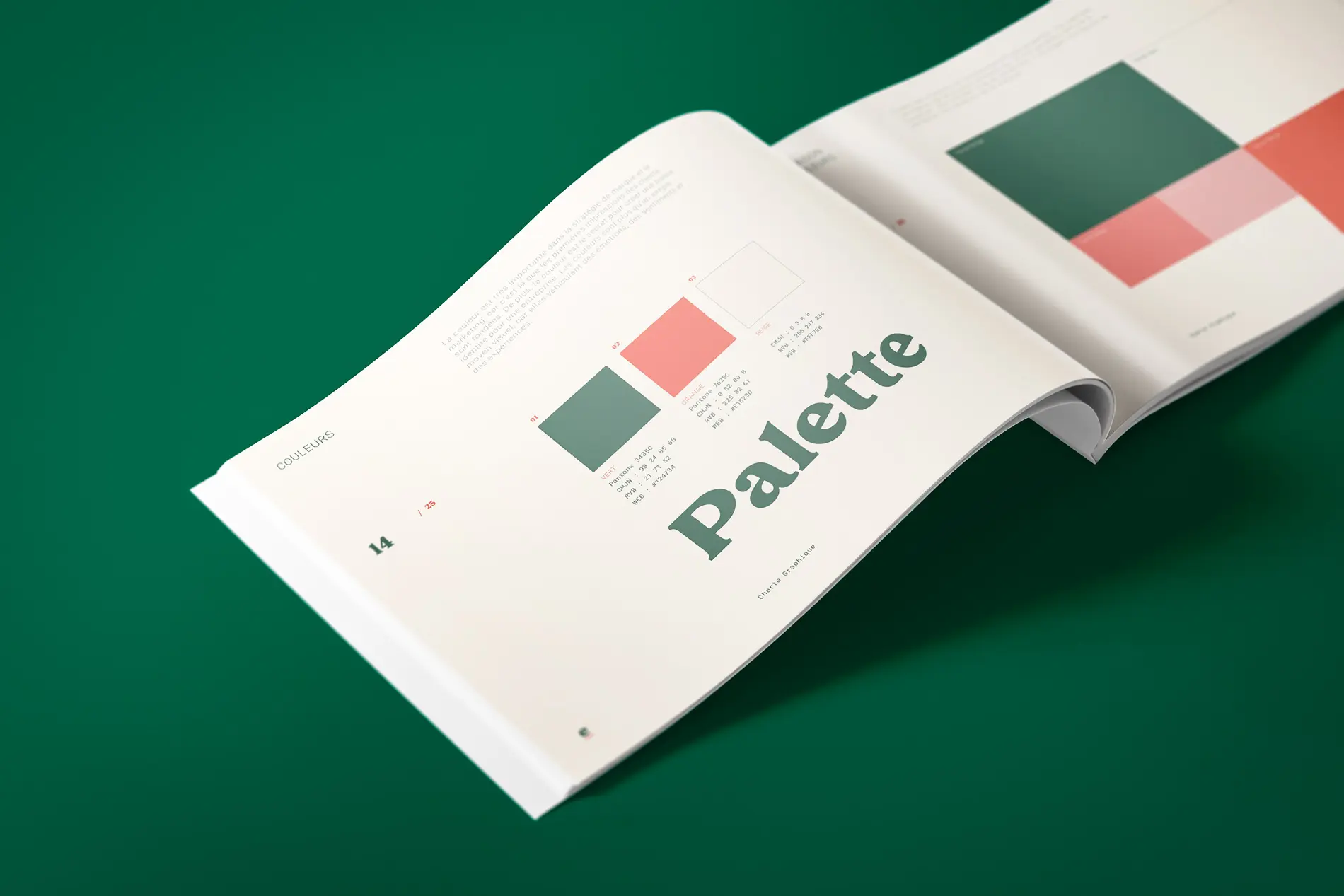 Charte graphique ouverte sur la palette, avec des échantillons vert, corail et crème.