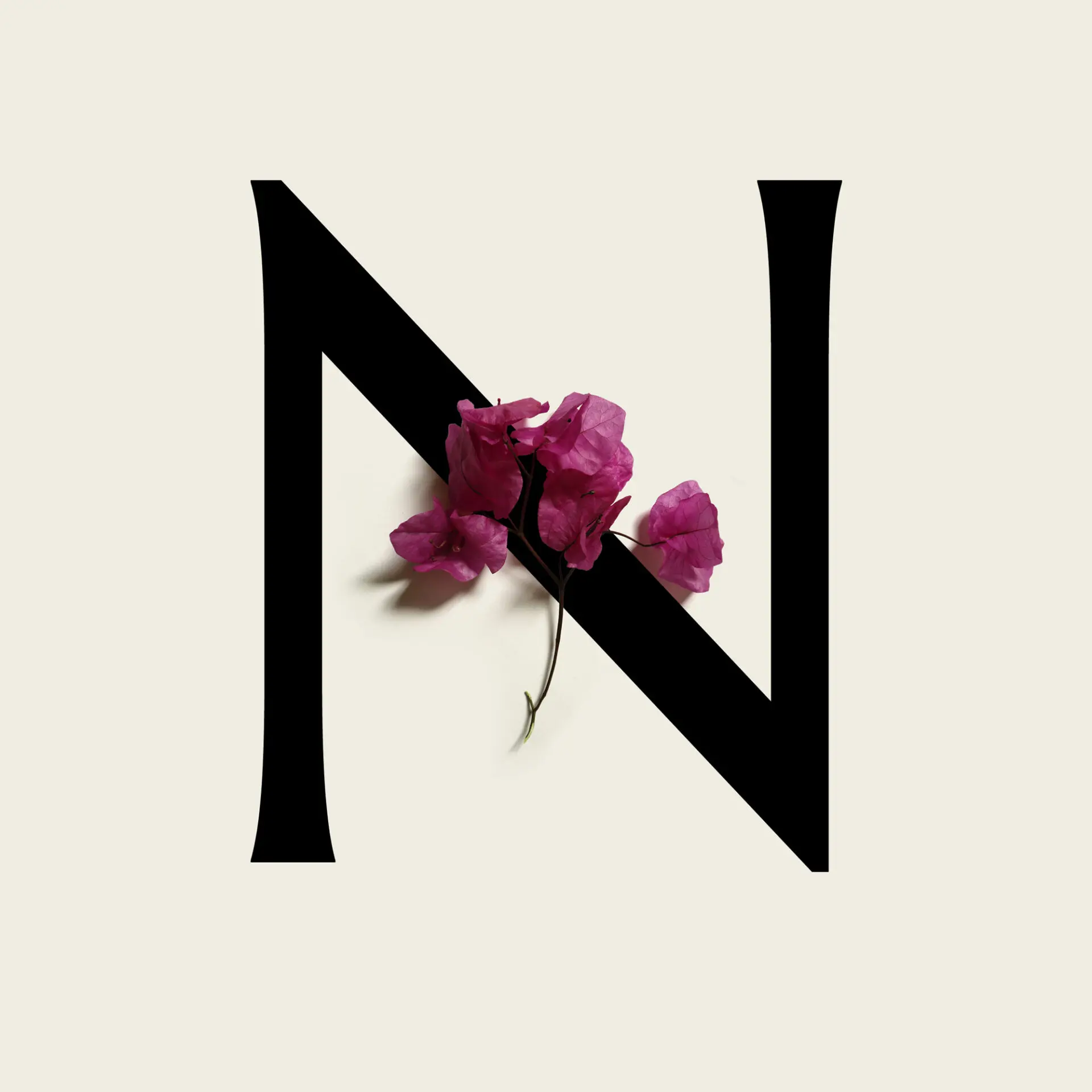Identité visuelle créée par l'agence de branding Hermits pour Nell Conti, maison de cuirs parfumés