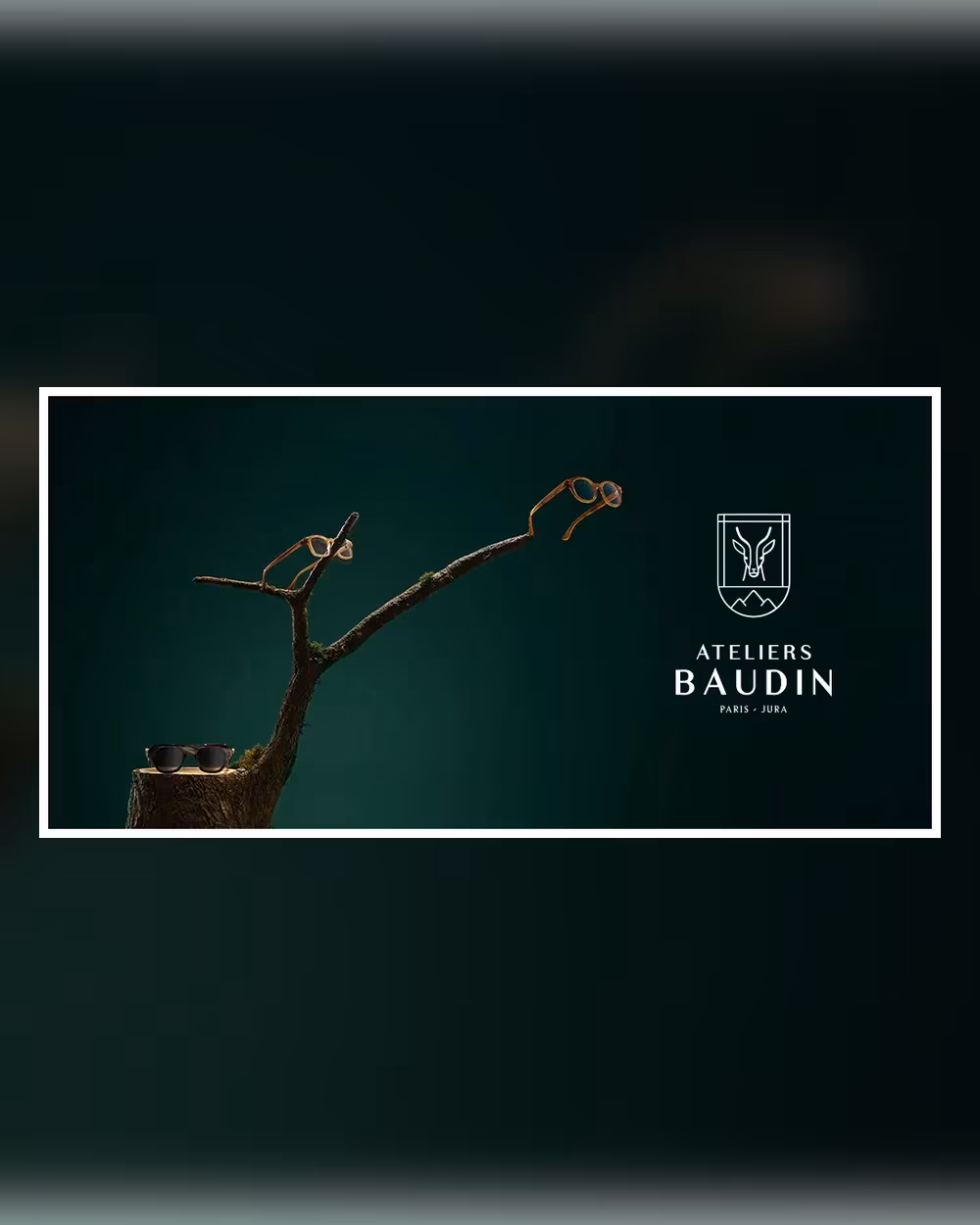 Branche et blason Ateliers Baudin sur fond vert profond, lunetterie haut de gamme