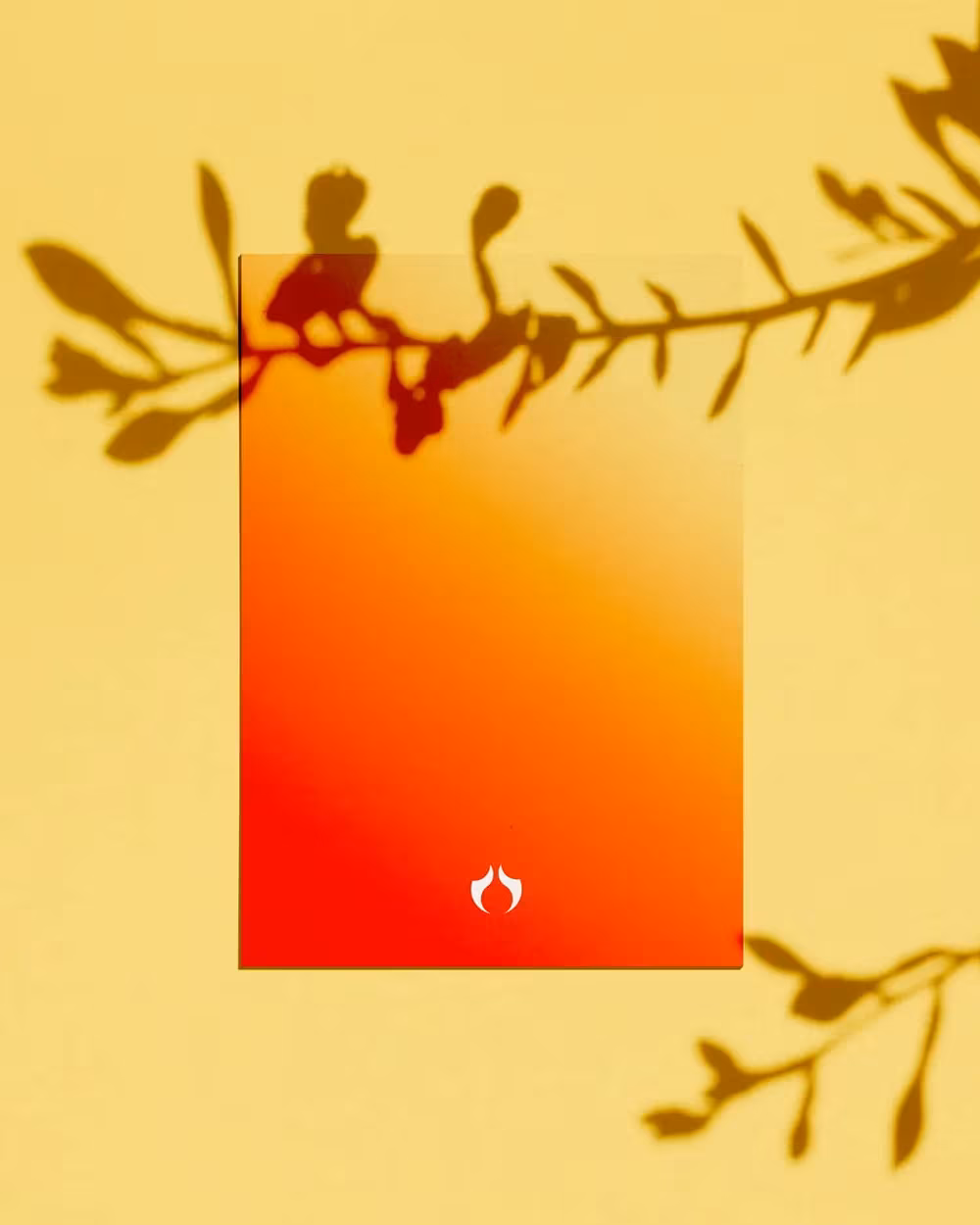 Affiche au dégradé orange de Vanessa Huyghe sur fond jaune aux ombres végétales